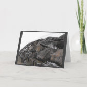 Carte De Remerciements DSCF2781, Papa, Rocher ! (Dos)