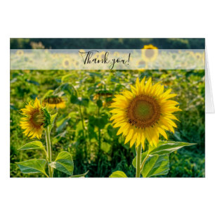 Carte de remerciements du terrain de tournesol dor