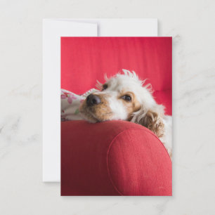 Carte De Remerciements ecs orange et blanc chillin