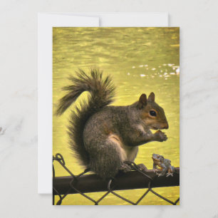 Carte De Remerciements Écureuil gris de l'Est (Sciurus carolinensis)