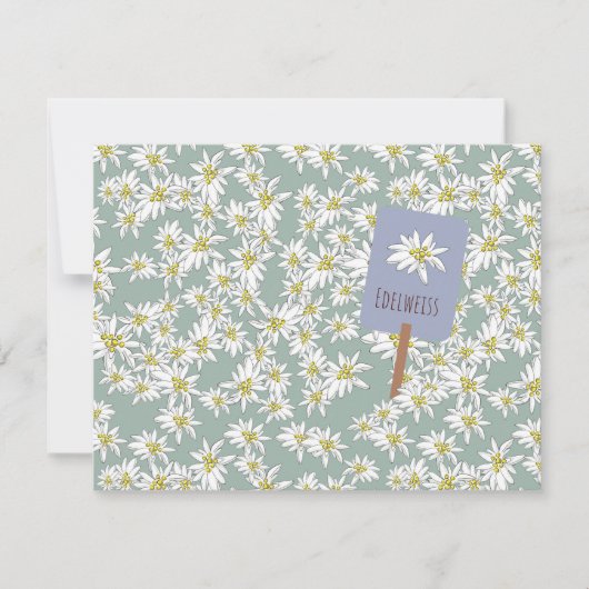 Carte De Remerciements Edelweiss Fleur Alpine Sauvage Bohème Mignonne Ver (Devant)