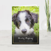 Carte De Remerciements Élégant animal de compagnie perte de sympathie pho (Devant)