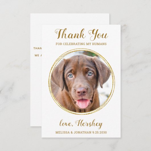 Carte De Remerciements Elegant Chic Gold Custom Chien Photo Mariage pour (Devant / Derrière)