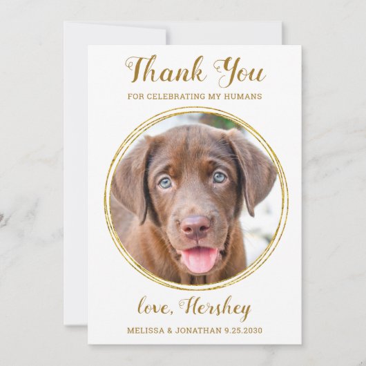 Carte De Remerciements Elegant Chic Gold Custom Pet Photo Chien Mariage (Devant)