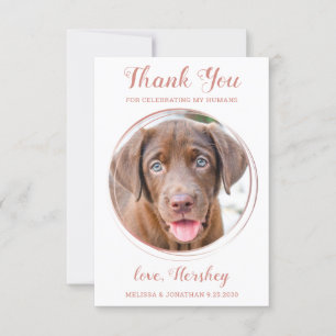Carte De Remerciements Elégant Rose Gold Custom Chien Photo Animal Mariag