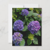 Carte De Remerciements Elégant violet magenta florales roses hydrangées (Dos)