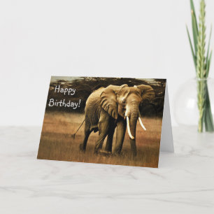 Carte De Remerciements Elephant Joyeux Anniversaire !