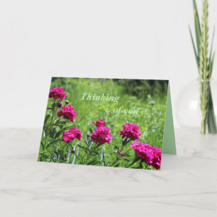 Carte De Remerciements En pensant à vous.. .Carte de voeux