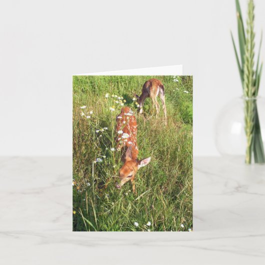 Carte De Remerciements Ensemble (Devant)