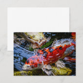 Carte De Remerciements Étang japonais de poissons Koi (Devant / Derrière)