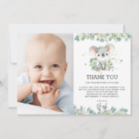 Eucalyptus Koala 1er anniversaire Boy Photo