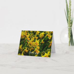 Carte De Remerciements Famille De Daffodils