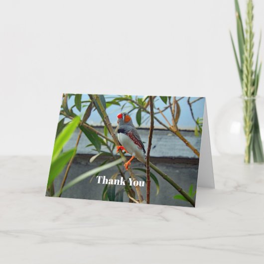 Carte De Remerciements Faune Zebra Finch (Devant)