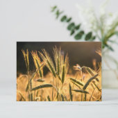 Carte De Remerciements Ferme de blé frais (Debout devant)