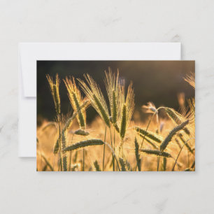 Carte De Remerciements Ferme de blé frais