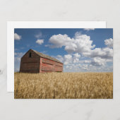 Carte De Remerciements Fermes | Vielle grange rouge en champ de blé (Devant / Derrière)