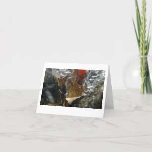 Carte De Remerciements feuille d'automne piégée dans une cascade
