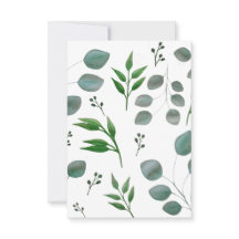 Feuilles de l'eucalyptus