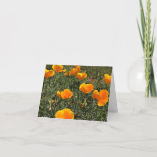 Carte De Remerciements Field of Poppies