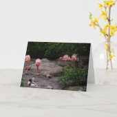 carte de remerciements "Flamants roses et canard" (Fleur jaune)