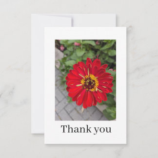 Carte De Remerciements Flat Thank You Card
