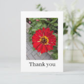 Carte De Remerciements Flat Thank You Card (Debout devant)