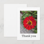 Carte De Remerciements Flat Thank You Card (Devant / Derrière)