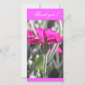 Carte De Remerciements Fleur Miller rose vif (Devant)