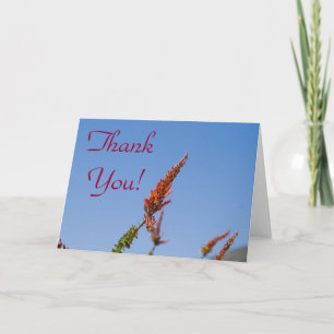 CARTE DE REMERCIEMENTS FLEUR SAUVAGE 4