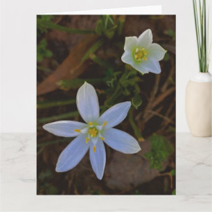 Carte De Remerciements fleurir en blanc
