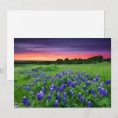 Carte De Remerciements Fleurs | Bluebonnets à Sunset Texas (Devant / Derrière)