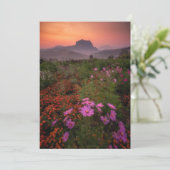 Carte De Remerciements Fleurs | Chiang Dao, Chiang Mai, Thaïlande (Debout devant)