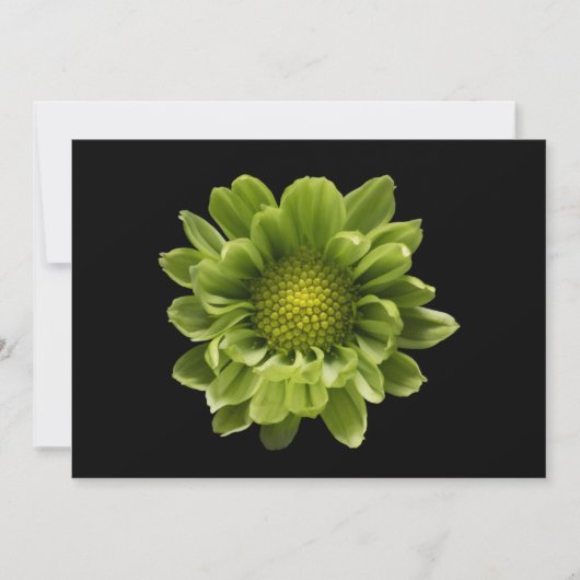 Carte De Remerciements Fleurs | Chrysanthème vert (Devant)