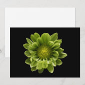 Carte De Remerciements Fleurs | Chrysanthème vert (Devant / Derrière)