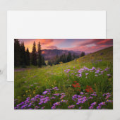 Carte De Remerciements Fleurs | Colorado Fleur sauvage violet (Devant / Derrière)