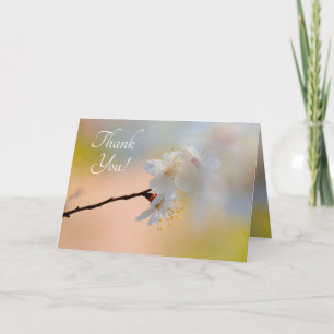 Carte De Remerciements Fleurs d'abricot japonaises étonnantes