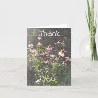 Carte De Remerciements Fleurs d'échinacée au soleil