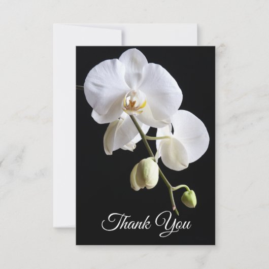 Carte De Remerciements Fleurs d'orchidées blanches sur la sympathie des f (Devant)