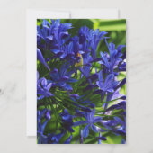 Carte De Remerciements Fleurs élégantes d'Agapanthus violet Deuil (Dos)