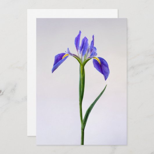 Carte De Remerciements Fleurs | Fleur Iris Violet (Devant / Derrière)