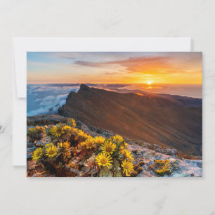 Carte De Remerciements Fleurs Îles Canaries, Espagne