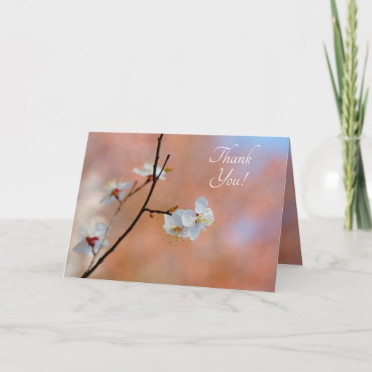 Carte De Remerciements Fleurs japonaises d'abricot (Devant)