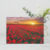 Carte De Remerciements Fleurs | Jardin botanique Hollande (Debout devant)