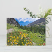 Carte De Remerciements Fleurs | Montana Flower Path (Debout devant)