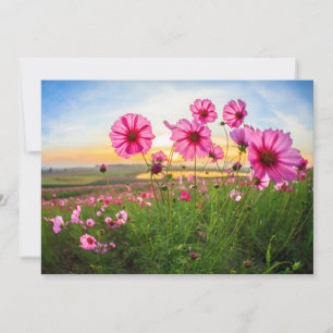 Carte De Remerciements Fleurs  Province de Chiang Rai, Thaïlande