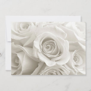 Carte De Remerciements Fleurs   Roses blanches