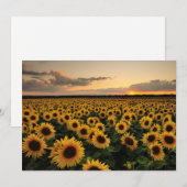 Carte De Remerciements Fleurs | Terrain de tournesol (Devant / Derrière)