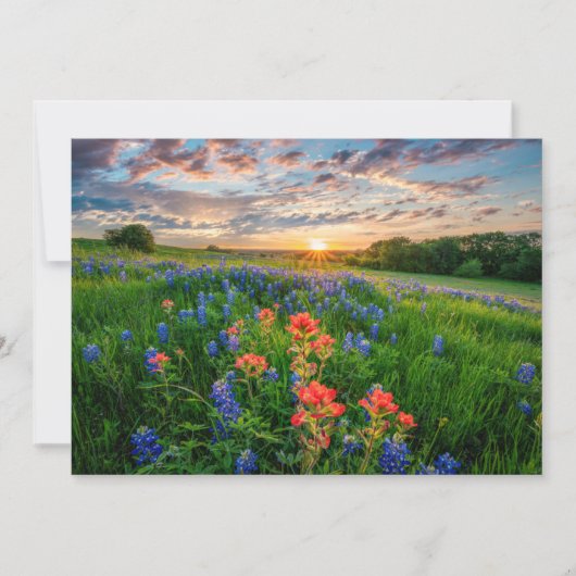 Carte De Remerciements Fleurs | Texas Bluebonnets & Indian Paintbrush (Devant)