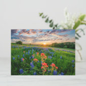 Carte De Remerciements Fleurs | Texas Bluebonnets & Indian Paintbrush (Debout devant)