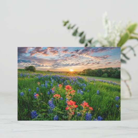 Carte De Remerciements Fleurs | Texas Bluebonnets & Indian Paintbrush (Debout devant)